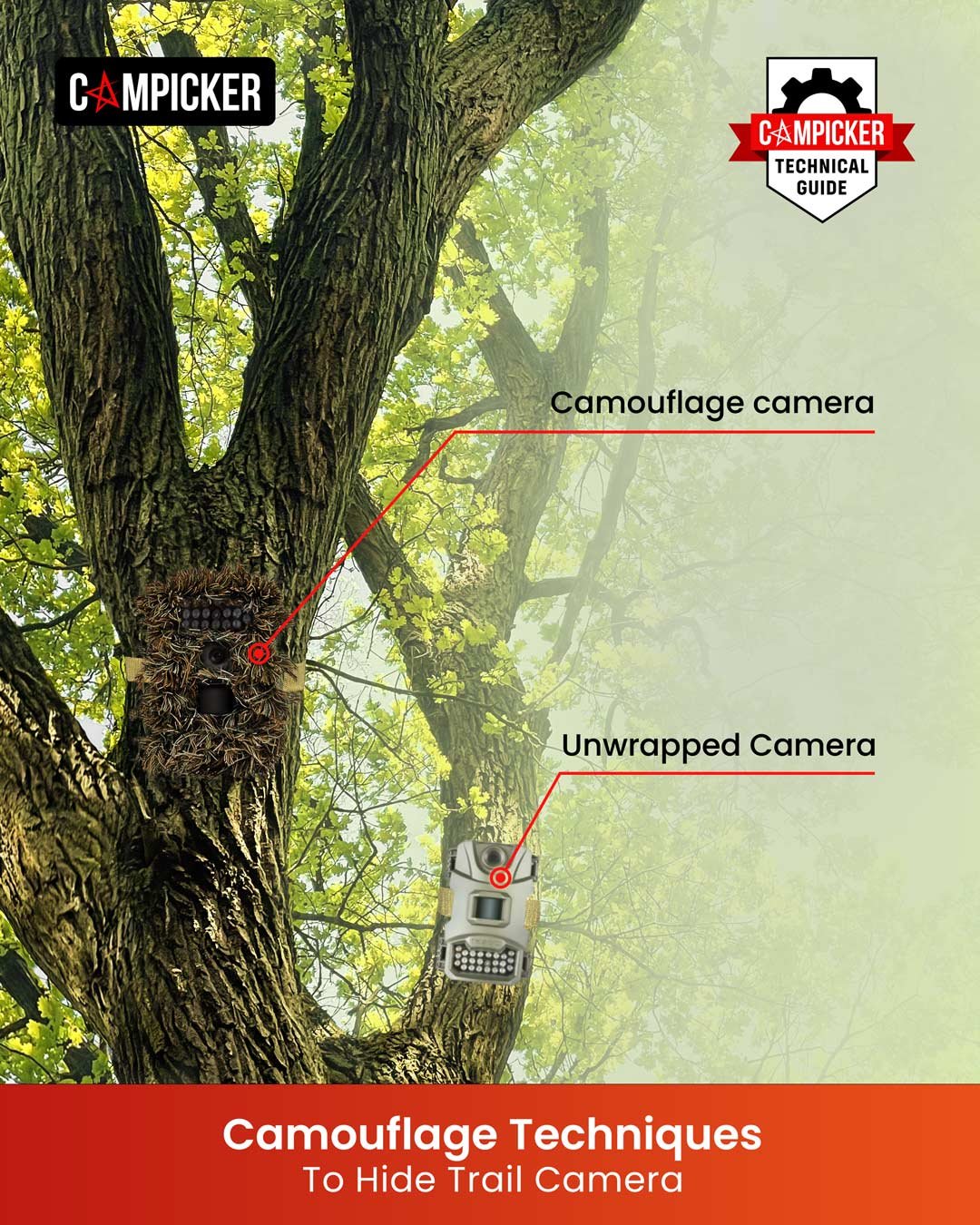 camouflage-techniques-to-hide-trail-camera-CamPicker camouflage-techniques-to-hide-trail-camera-CamPicker