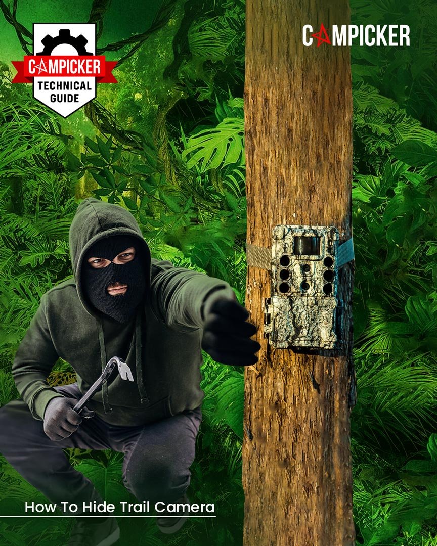 How-To-Hide-Trail-Camera-Campicker How-To-Hide-Trail-Camera-Campicker